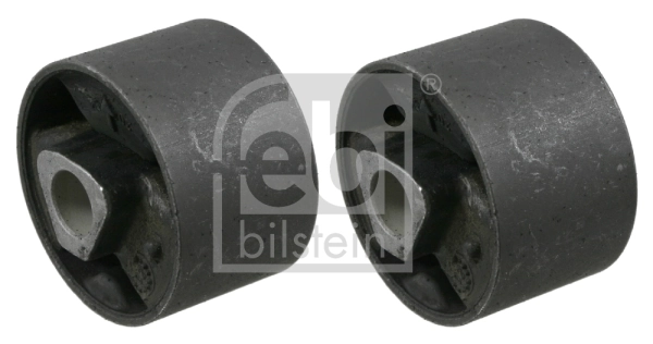 Mounting, control/trailing arm